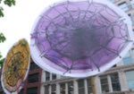 2011 Manifest Arts Festival video
