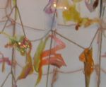 2012 Manifest Arts Festival video