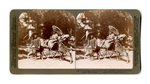 Stereographic Postcard: Travel photograph, Nara, Japan by Underwood and Underwood