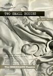 Two Small Bodies by The Immediate Theatre Company