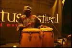 Lotus World Music and Arts Festival | Bloomington, Indiana, United States | Jamesie & the All-Stars Performance at the African American Cultural Center - Part 2